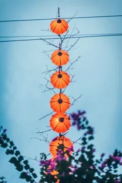 Neon reflection Stock Photos