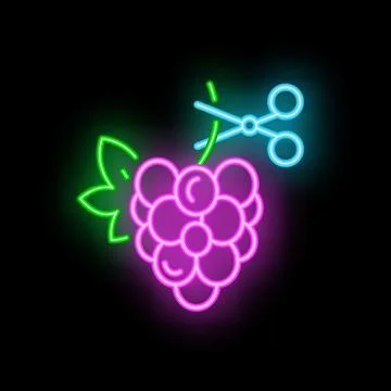 Neon scissors cutting bunch of grapes sign on black background Stock Illustration