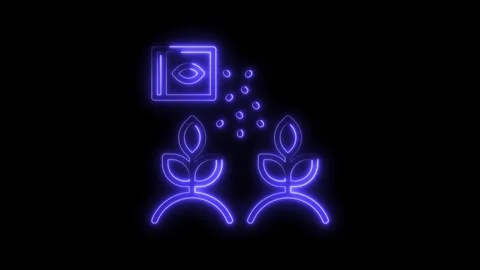 Neon seed germination animation growing plants from seed packets on a dark Stock Footage 322968010