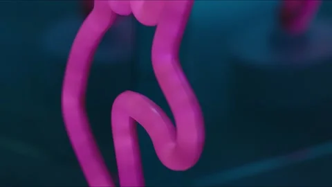 Neon Sign-Abstract Stock Footage 155889180