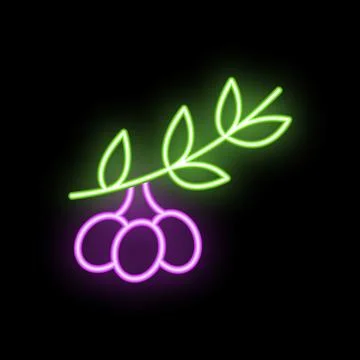 Neon sign featuring branch with three berries on black background Stock Illustration