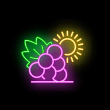 Neon sign representing a bunch of grapes ripening in the sun Stock Illustration
