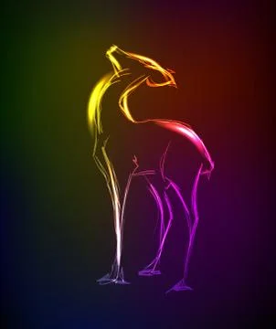Neon sketch. Doe standing. Vector illustration. Stock Illustration