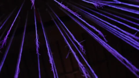 Neon threads of purple light . Stock Footage 276205564