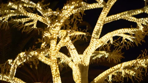 Neon tree light at night in 4k slow motion 30fps Stock Footage 107532063