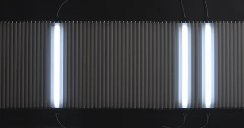 Neon tube align day Stock Footage 87565962