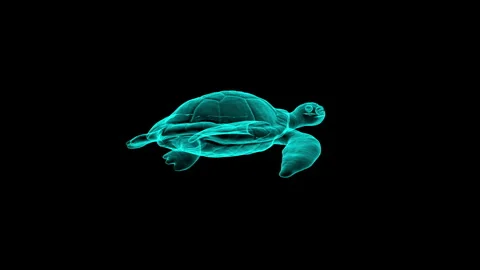 Neon Turtles Flying Through the Depths of Black Space Imagery 库存影片 343124162