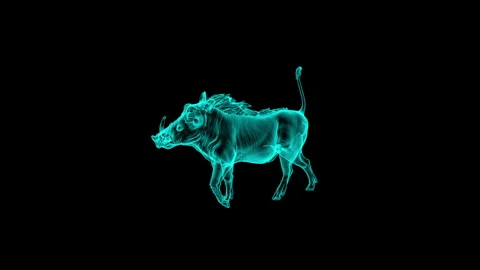 Neon Warthog Wireframe in Black Background - Digital Art Visualization 動画素材 343036441