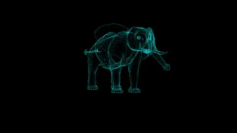 Neon Wireframe Elephant Art on Black Background: A Digital Fusion Visualizati Stock Footage 342248156