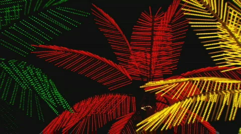 NeonPalmTrees zoom Stock Footage 449065