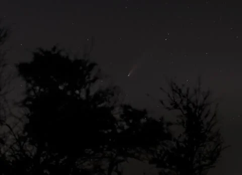 NEOWISE Comet Stock Photos