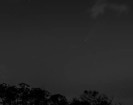 NEOWISE Comet Stock Photos
