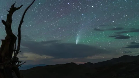 Neowise Comet Timelapse 8K Stock-Footage 136637998