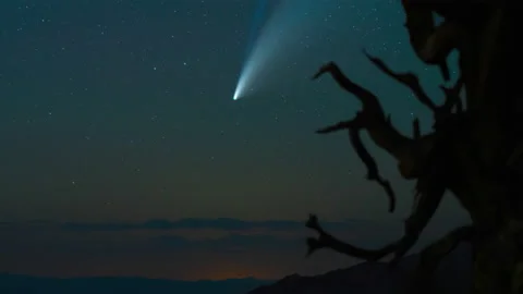 Neowise Comet Timelapse 8K Stock-Footage 136670023