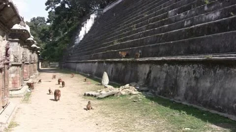 Nepal 4-2 Stock Footage 22436635