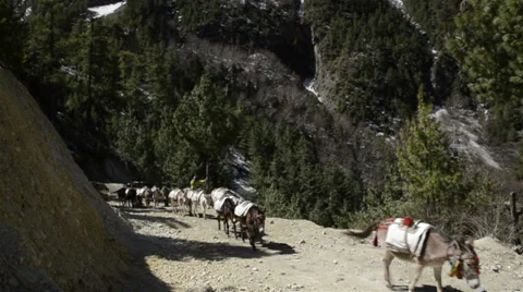 Nepal 6-1 Video stock 30185471