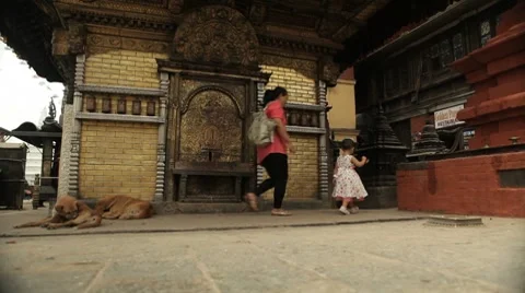 Nepal Temple Wall WS 動画素材 8688817
