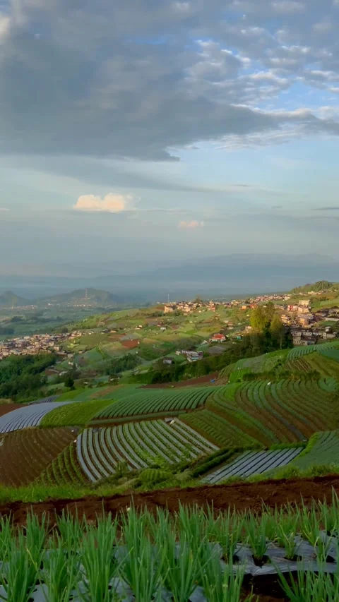 Nepal van Java Dusun Butuh Village Sumbing Mountain Sunrise Vidéo 331996452