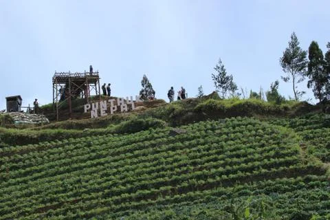 Nepal van Java is a rural tour on the slopes of Mount Sumbing, Central Java. Stock Photos