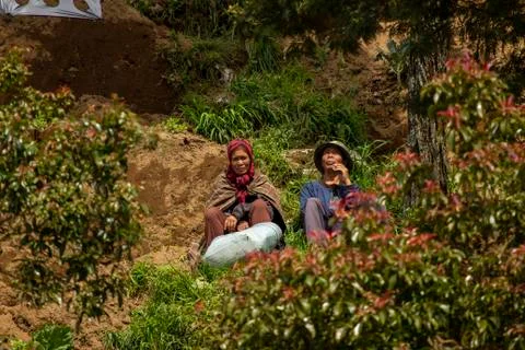 Nepal van Java is a rural tour on the slopes of Mount Sumbing, Central Java. Stock Photos
