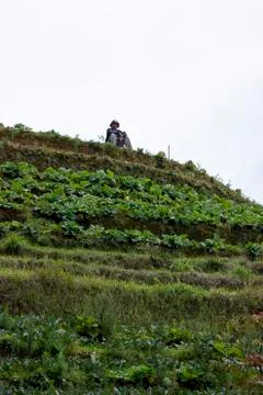 Nepal van Java is a rural tour on the slopes of Mount Sumbing, Central Java. Fotos de archivo