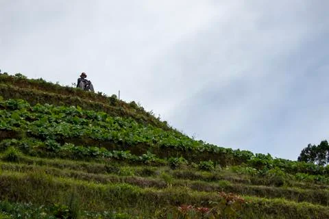 Nepal van Java is a rural tour on the slopes of Mount Sumbing, Central Java. Fotos de archivo