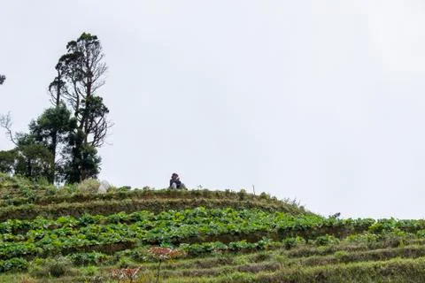 Nepal van Java is a rural tour on the slopes of Mount Sumbing, Central Java. Stockfoto's