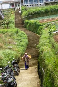 Nepal van Java is a rural tour on the slopes of Mount Sumbing, Central Java. Stock Photos