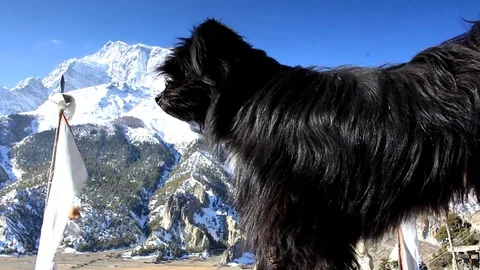 Nepal Vibes Compilation No.1. Mountains Stock Footage 88153750