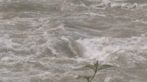 Nepal white water Stock Footage 9926612