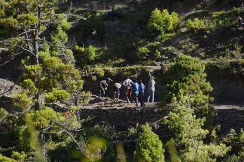 Nepali workers digging rice fields on the Annapurna circuit. Stock Photos