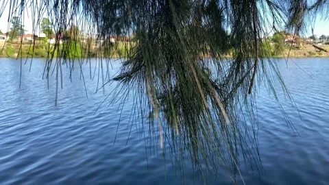 Nepean River Stock Footage