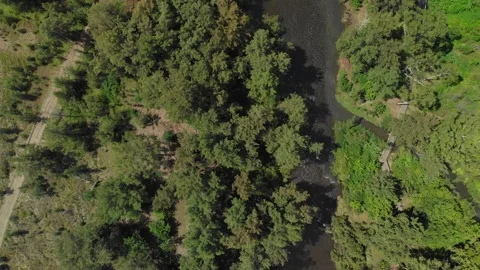 Nepean River Stock Footage 150771744