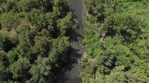 Nepean River Stock Footage 150773611