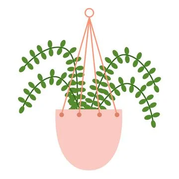 Nephrolepis with four leaf in hanging ceramic pot Stock Illustration