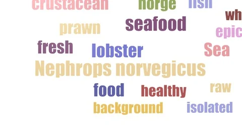 Nephrops Norvegicus Word Cloud Animated Isolated Stock Footage 103666695