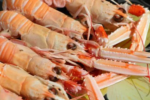 Nephrops on a plate Stock Photos
