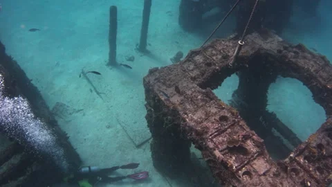 Neptune Memorial Reef  Underwater Structures in Natural Light Video stock 323028079