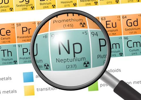 Neptunium from Periodic Table of the Elements with magnifying glass 스톡 일러스트