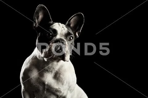 Nera Final Stock Photos