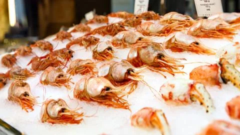 Nerd (botan-Abby), combed shrimp lying on the ice in the shop window Stock Photos