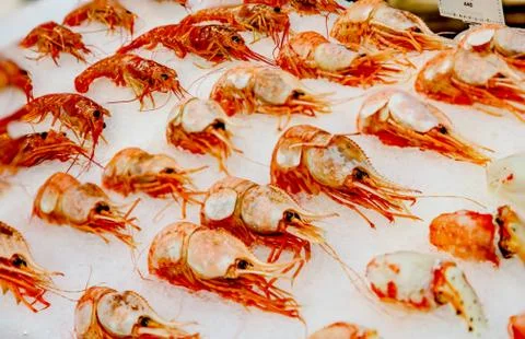 Nerd (botan-Abby), combed shrimp lying on the ice in the shop window Stock Photos