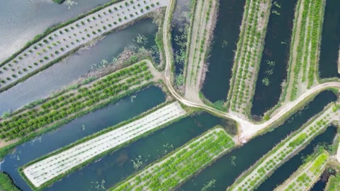 The Neretva Valley Stock Footage 262652352
