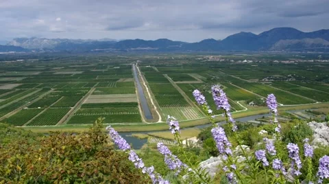 Neretwa Delta Stock Footage 48568497