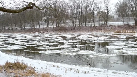 Neris river covered with pancake ice. Winter city landscape. Vilnius, Lithuania. Stockbeeldmateriaal 302777975
