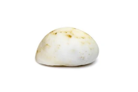 Nerita is a genus of medium-sized to small sea snails with a gill and an oper Stock Photos