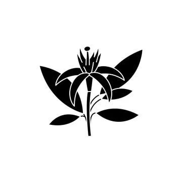 Neroli olor line icon. Essential oils. Pictogram for web page, mobile app, pr 库存插图