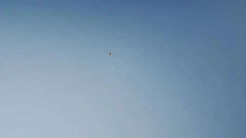 A нeron flies high in the sky. Stock Footage 133504110