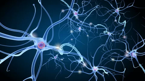 Nerve cell anatomy in details. 3D animation Stock Footage