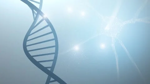 Nerve cell and dna chain bright blue science background animation Stock Footage 338406174